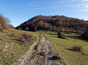 Sulla via del ritorno agli ameni prati di Prato delle Forme.