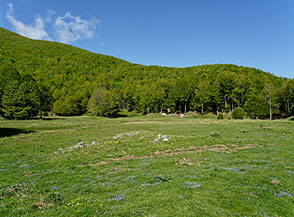 La radura di Cesa Castrilli.