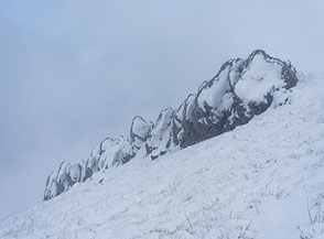 Una caratteristica coda di roccia che s&rsquo;incontra lungo la cresta poco prima di raggiungere la cima del Colle Vallanetta.
