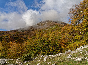 Autunno alle pendici del Monte Breccioso.