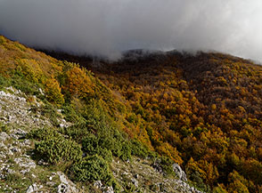 Scorcio sulla valle che si colloca tra il Monte Cornacchia ed il Colle Vallanetta.