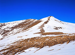 Colli Campi della Magnola e Costone della Cerasa