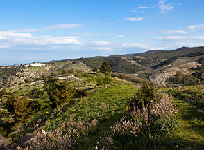 Scorcio sui colli di Costella.