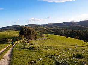 Calando sui bucolici pascoli di Pietramena.