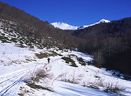 Coppo del Lepre e C.del Ginepro
