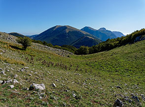 La piccola conca prativa che separa le due cime di Coppola di Paola, sullo sfondo le cime maggiori del Pollino.