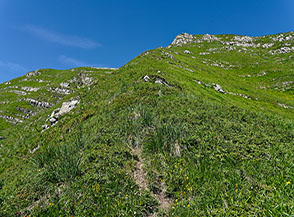 Un&rsquo;esile traccia risale il crinale prativo (Direttissima al Corno alle Scale).