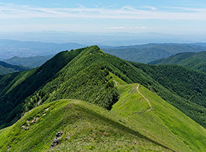 In vista di Poggio dei Malandrini.