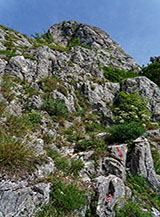 Lungo l&rsquo;ardito sentiero che conduce alla selletta tra la Cresta del Corno e la cima del Corno del Catria.