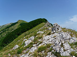 La lunga cresta sommitale che ci condurr&agrave; sul Monte Catria (sullo sfondo).