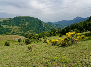 I prati di Piano Sant&rsquo;Angelo.