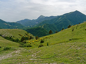 Ancora prati: Piano delle Quaglie.