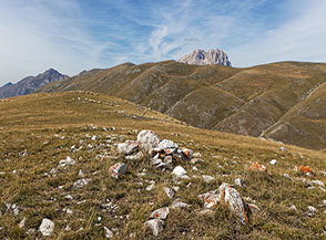 L&rsquo;anonima Cima di Faiete.