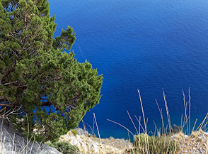 Mare cobalto sotto Torre del Morrice.