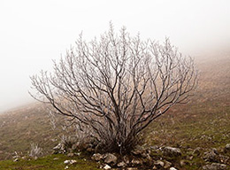 Costa della Sentina e Monte Magnola
