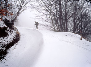 Una parabolica curva di neve sulla pista che porta al Passo del Chino.