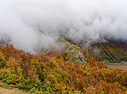 Costa Stellata e Punta Trieste
