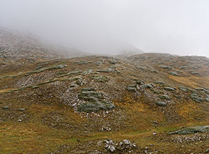 &ldquo;Assaggi d&rsquo;Inverno&ldquo; (sotto il Vado di Castellaneta).