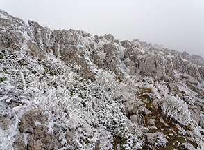 La morsa del ghiaccio si spande su ogni cosa (Cresta Sud-Est di Punta Trieste).