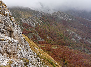 Vista sui boschi di Valle Cerchiata.