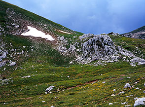 Verso il Passo della Tagliola, valico fra la Valle Venafrana ed il Piano della Ferruccia.