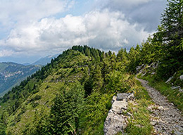 Coston dei Laghi e Monte Borcoletta