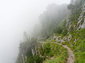 Il sentiero spostatosi sul fianco del Coston dei Laghi cala verso il Passo della Borcola.