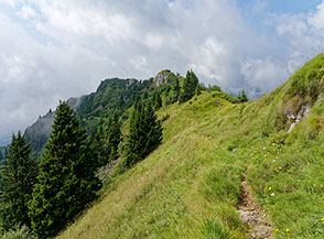 Sul sentiero in vista del Monte Borcoletta.