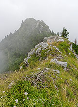 La sottile cresta che conduce sulla Borcoletta da nord.