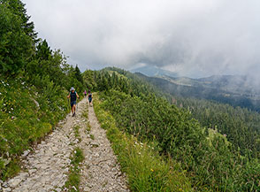 Sulla strada militare che sale da Passo Coe a Monte Maggio (Alpi di Melegna).