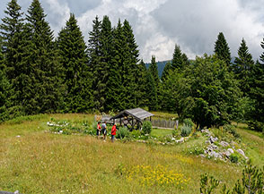 Scorcio del Giardino Botanico di Passo Coe.