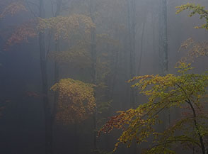 &ldquo;Nebbia d&rsquo;Autunno&ldquo; (Valle Scura).