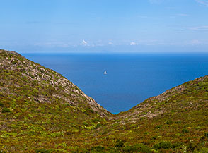 Il solco vallivo di Vado della Scopa nella punta settentrionale dell&rsquo;Isola di Capraia.