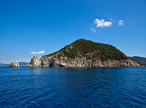 Capo e Monte d&rsquo;Enfola (Isola d&rsquo;Elba).