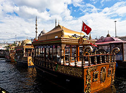 Crociera sul Bosforo e Torre Galata