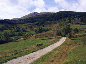 Scorcio sui pascoli di Colle Tondo, sullo sfondo Monte San Vito.