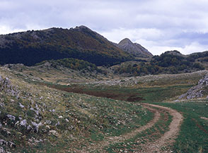 La Cresta Nord del Monte Meta vista dal Rifugio Ricotta.