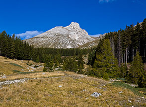 Ai piedi dell&rsquo;ampio corridoio libero dal bosco che da Fonte Vetica sale verso il Monte Camicia (sullo sfondo).