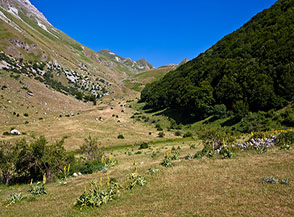 La Val Chiarino ripresa dai ruderi della Masseria Vaccareccia.