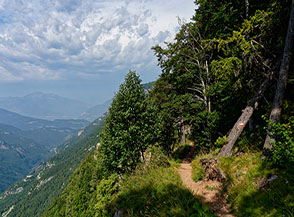 Scorcio sul Sentiero della Forra del Lupo che sale da Serrada.