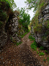 Ingresso nel tratto pi&ugrave; incassato del sentiero: la Forra del Lupo.