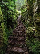 La trincea s&rsquo;insinua quasi soffocata dalle rocce coperte di muschio.
