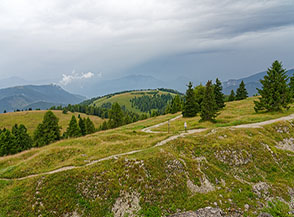 Dal Dosso del Sommo vista verso il Dosso della Martinella.