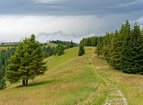 Il crinale prativo che collega il Dosso del Sommo col Dosso della Martinella.