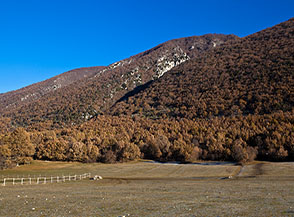 Sui prati di Cartore guardando verso l&rsquo;imbocco della Valle Fua.