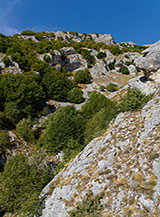 Il canale boscoso che si attraversa prima di entrare nella Valle Sant&rsquo;Angelo.