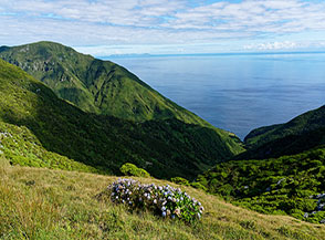 Vista sull&rsquo;oceano del versante settentrionale dell&rsquo;Isola di S&atilde;o Jorge alla partenza del Sentiero Faj&atilde; da Caldeira de Santo Cristo.