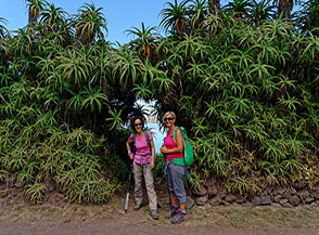 Una siepe di 	Aloe arborescens incornicia le nostre compagne di avventura.