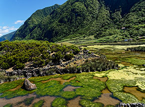&ldquo;Patchwork sulla laguna&ldquo; (Faj&atilde; dos Cubres).