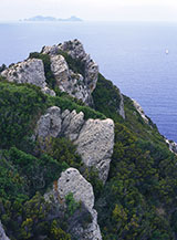 Scorcio del promontorio occidentale di Zannone.